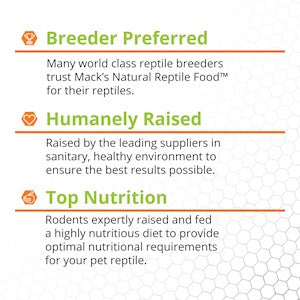 Rat Frozen - Fuzzy - Bulk 25 - Individually wrapped -