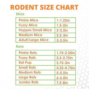 Rat Frozen - Fuzzy - Bulk 25 - Individually wrapped -