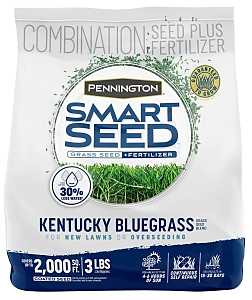 Grass Seed Kentucky Bluegrass Smart Seed - 3 lbs - #32266