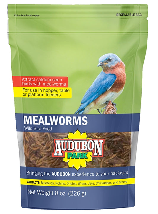 Dried Mealworms - Audobon - Bird Food - 8 oz - #25316