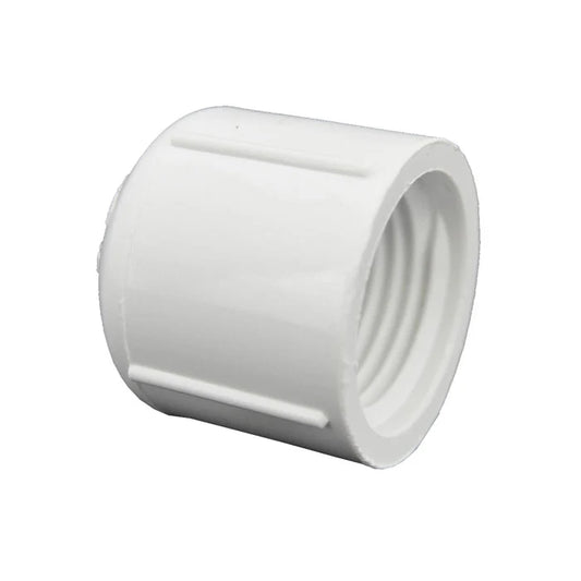 Cap Thread PVC SCH40 - 1/2'' - 448-005 - #1516