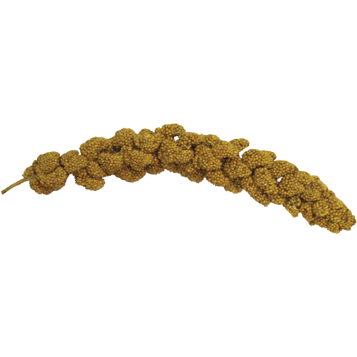 Bird Treat Millet - Each