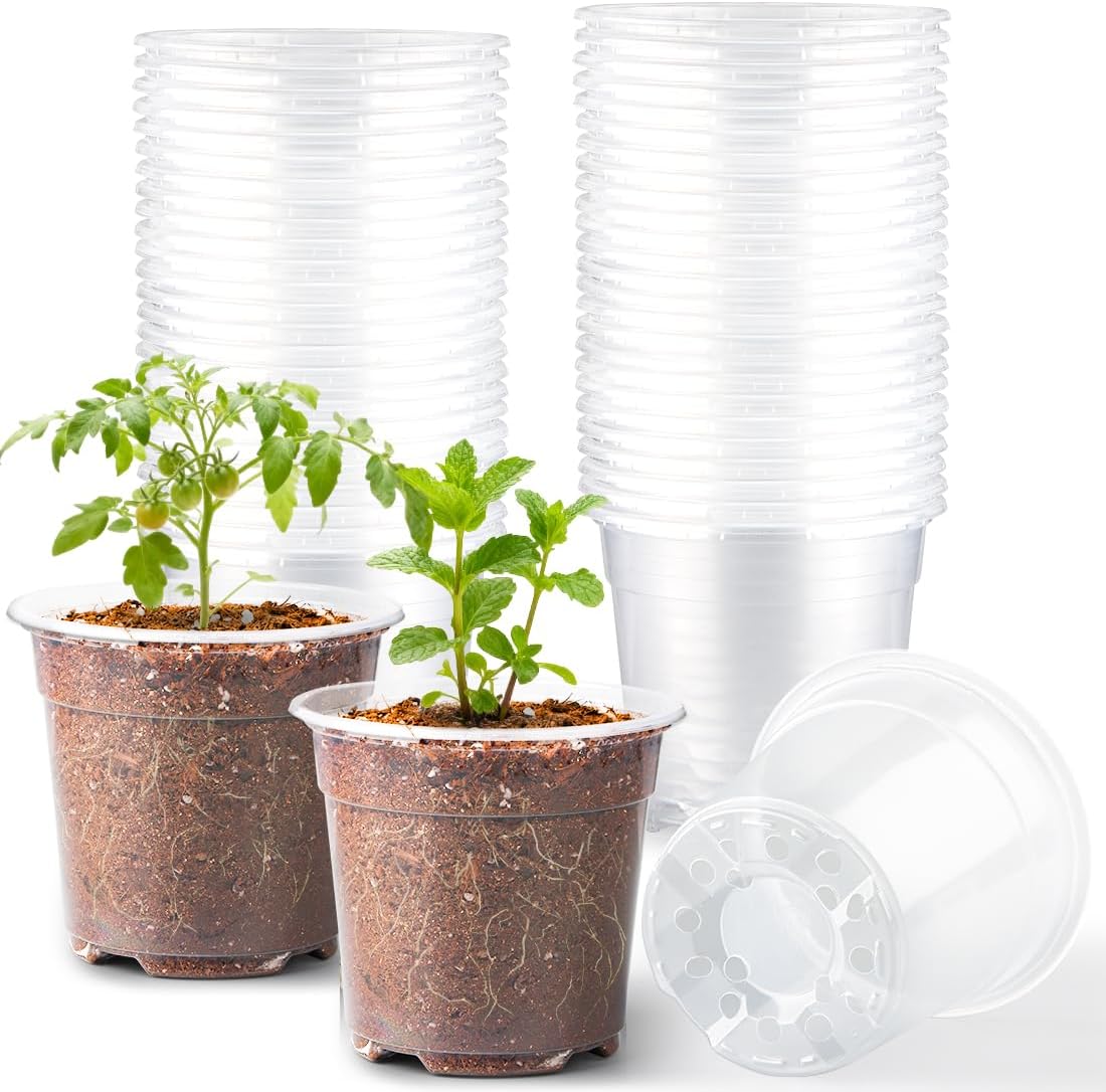 Clear Potting Container - 4" - 7"