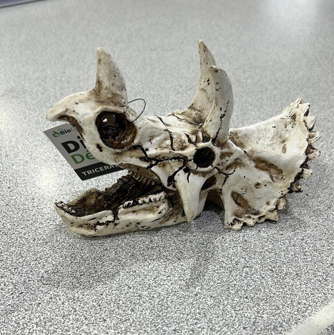 Dino Decor - The Bio Dude
