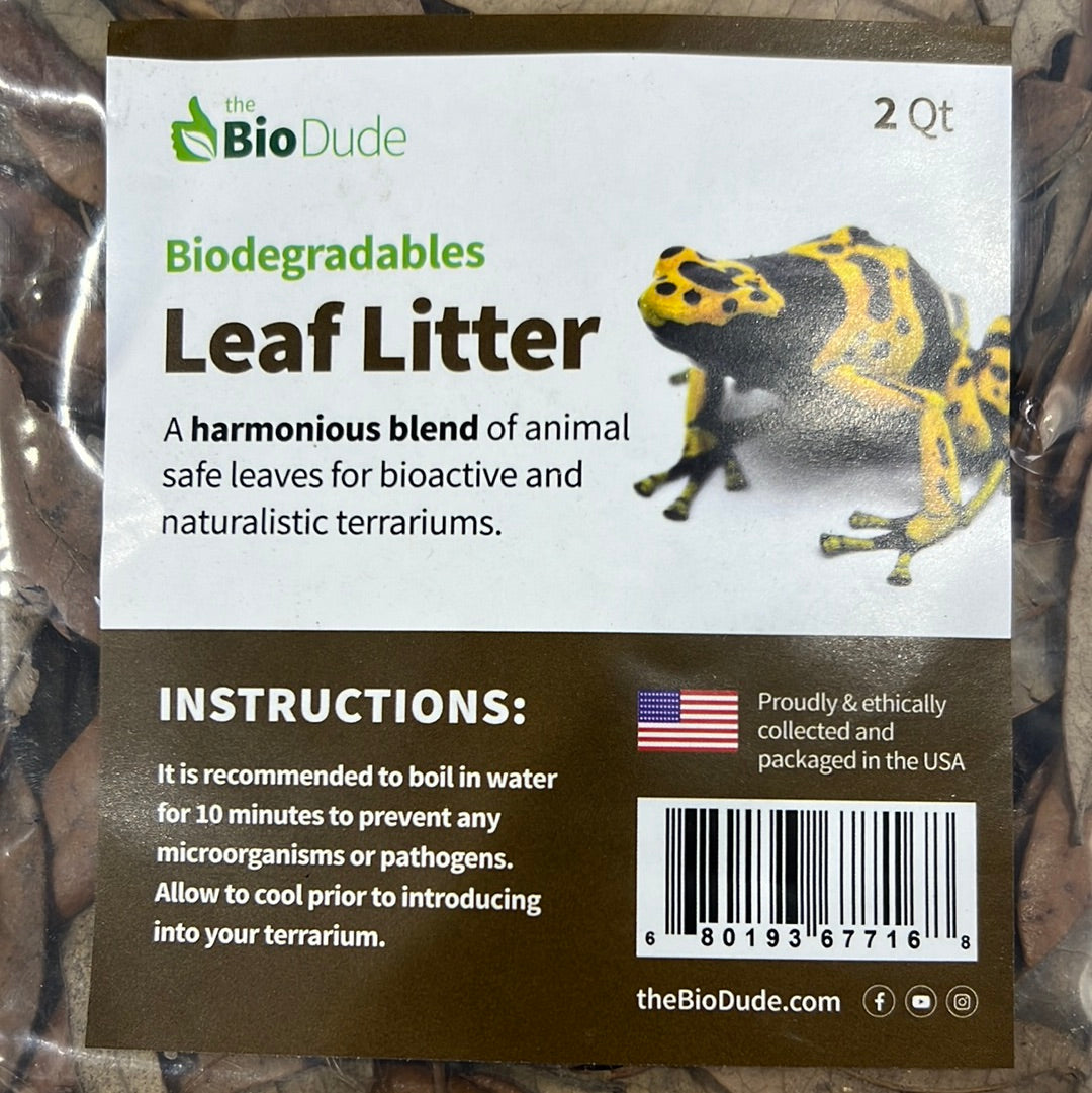 Leaf Litter