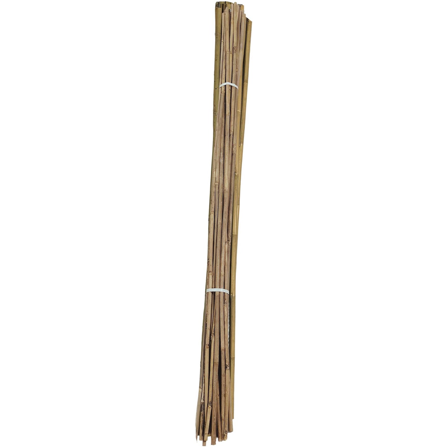 Stake Bamboo - Natural - 5/8"x5' - #27856