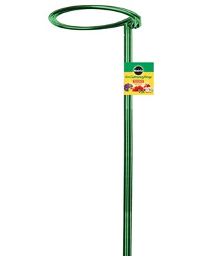Stake Plant Gathering Ring - 8"x36" - #16264