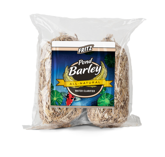 Barley Bale - Mini Bales - 2 Pack - FritzPond - #31590