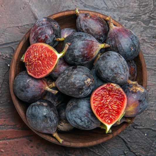 Black Mission Fig - 15 Gallon - #31684
