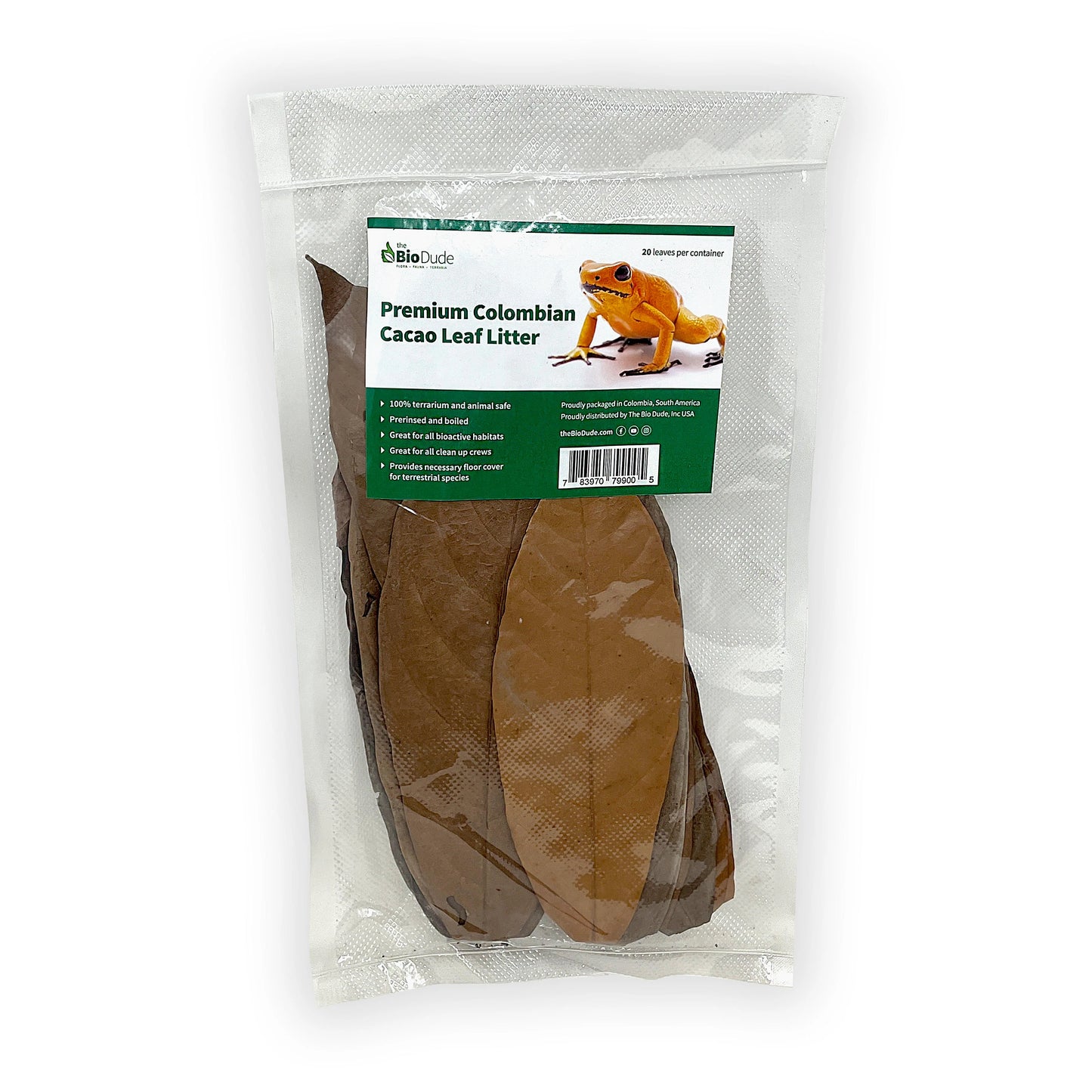 Leaf Litter