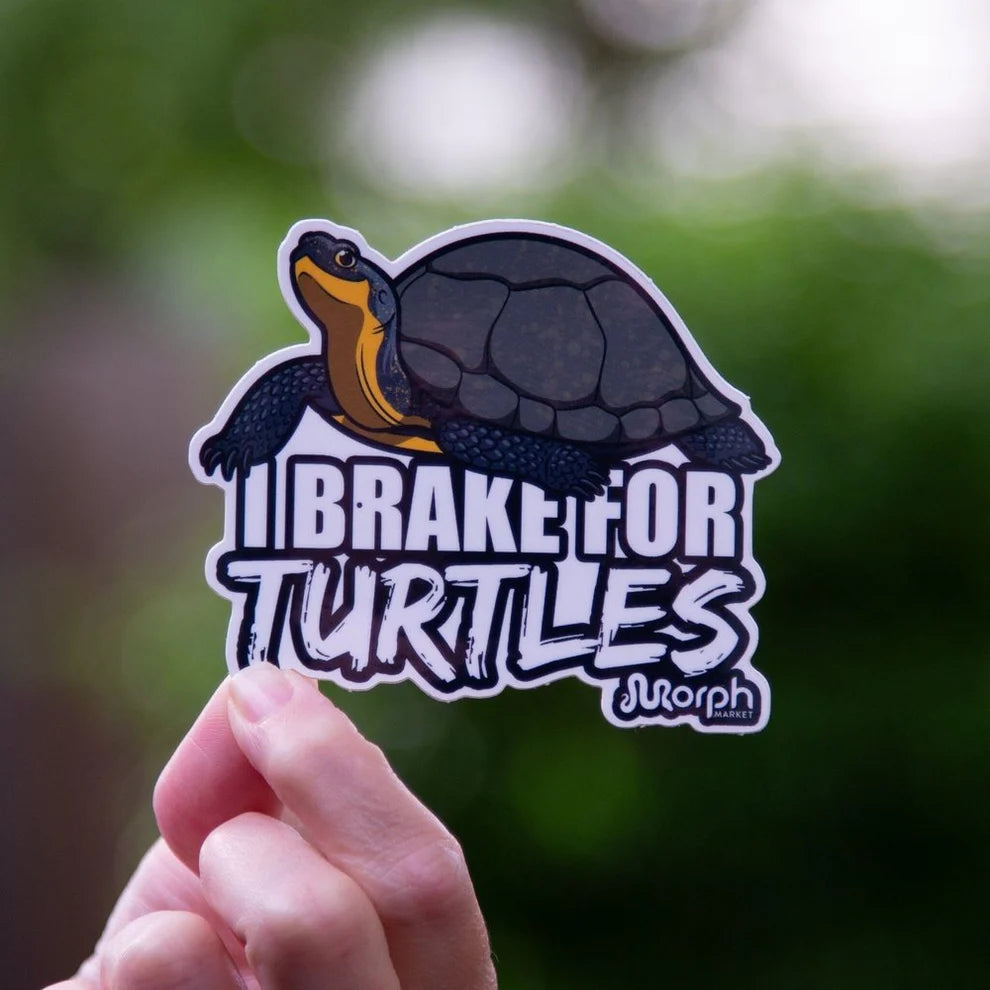 I Brake For Turtles Sticker - #31117