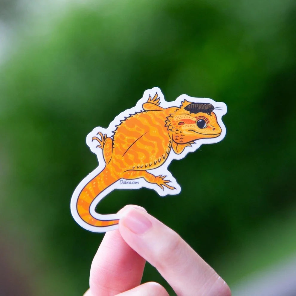 Sticker Beardie - Top View - Yellow - Orange - Red - #30486