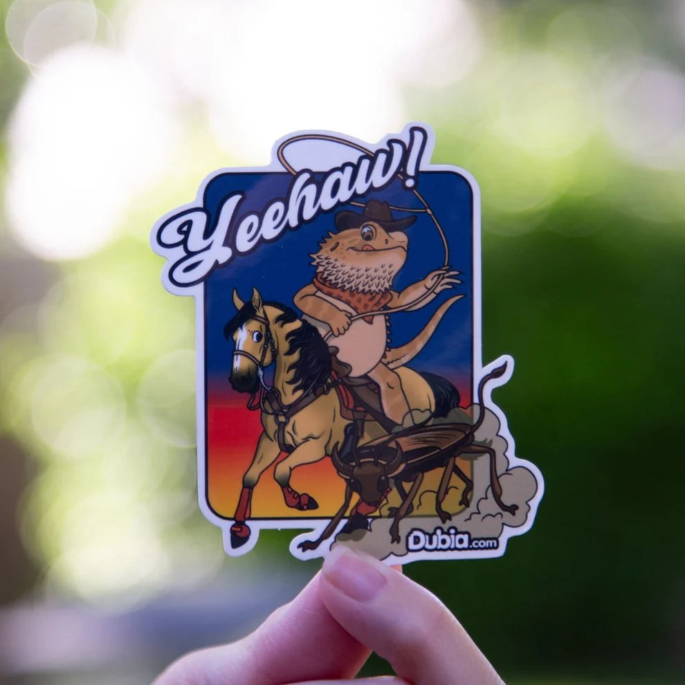 Yeehaw! Sticker - Die-Cut - #31298