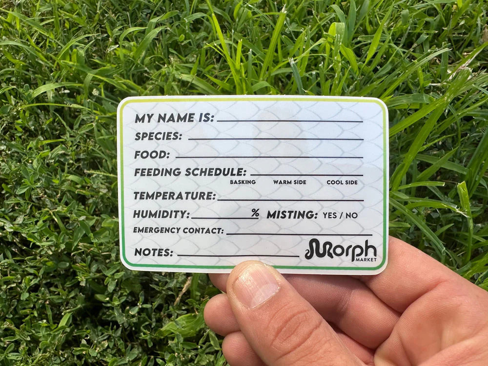 Sticker My Name is - #31502