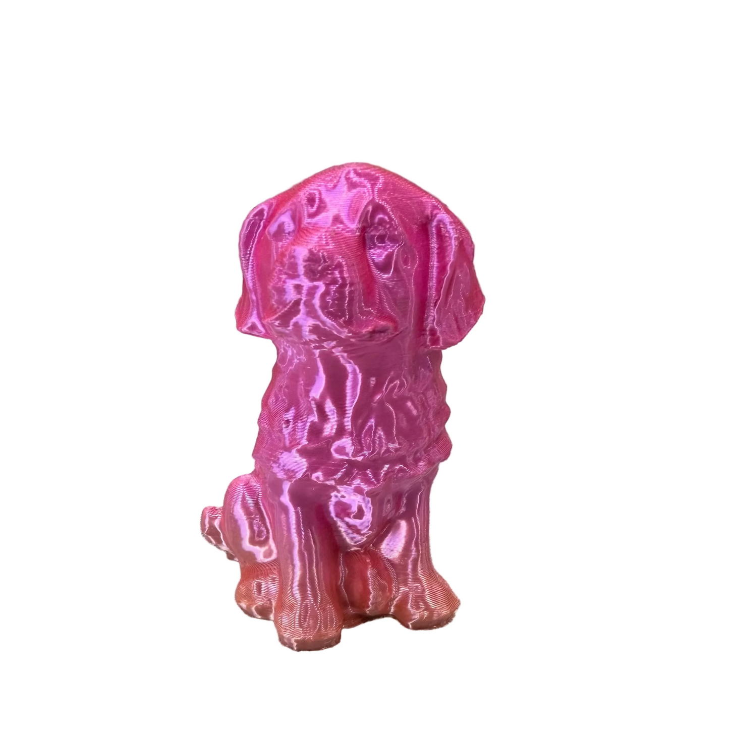 3D Dog - Small - #32617