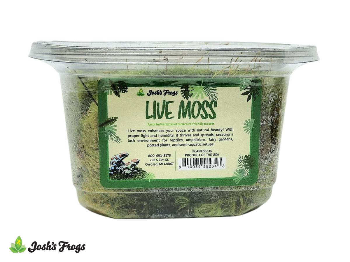 Fresh Live Moss - Small - Josh's Frogs - #32345