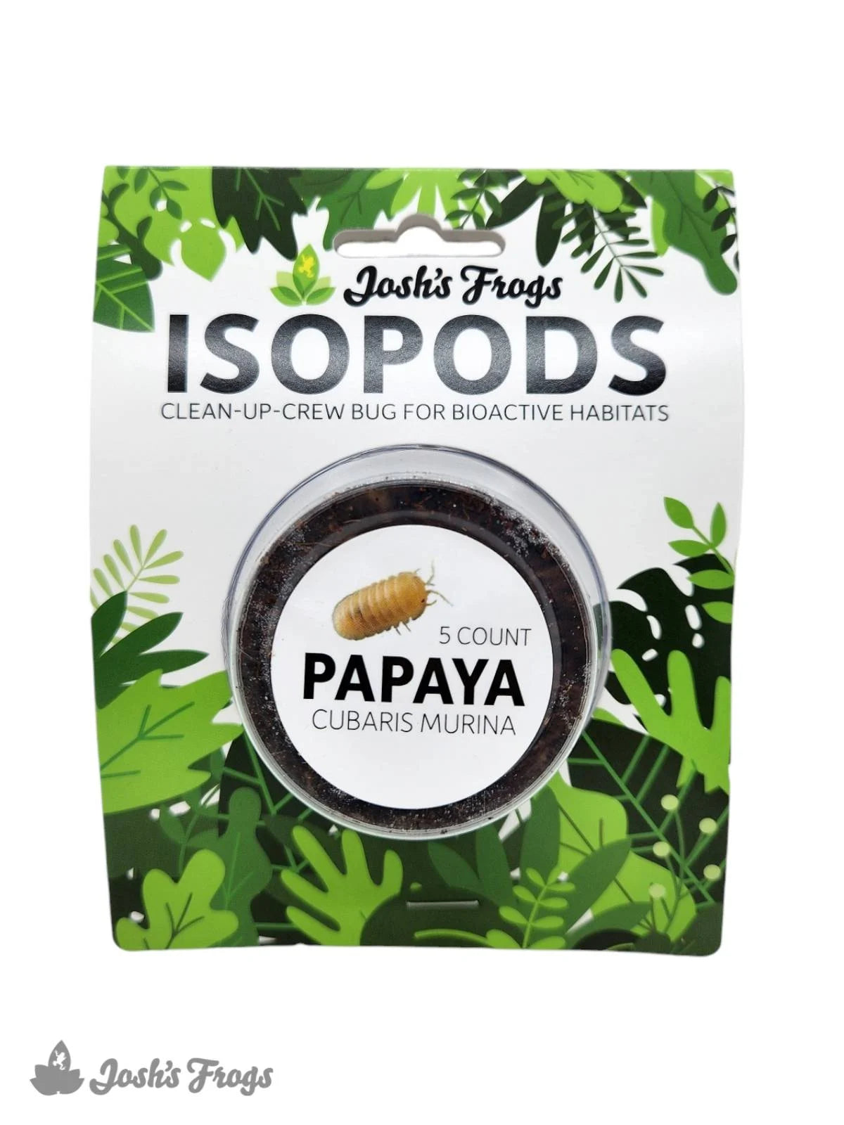 Assorted Isopod Cup - Josh's Frogs (5-10 Count) - #31380