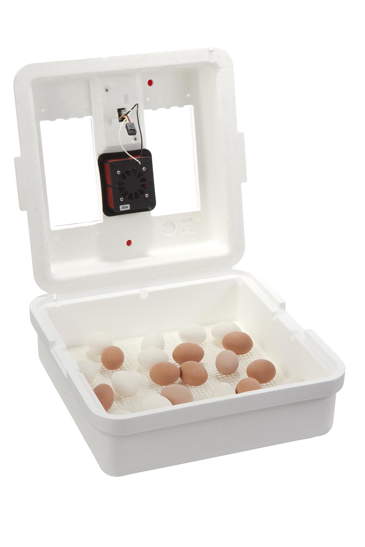 Incubator Circulated Air