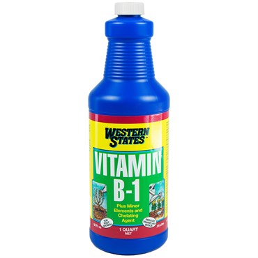 Liquinox Vitamin B-1 - 1 Quart - #1067