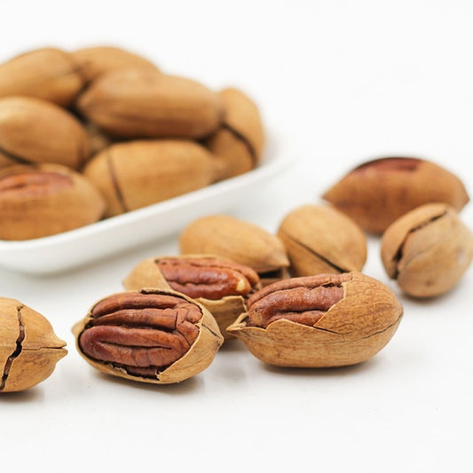 Mahan Pecan - 7 Gallon - #29634