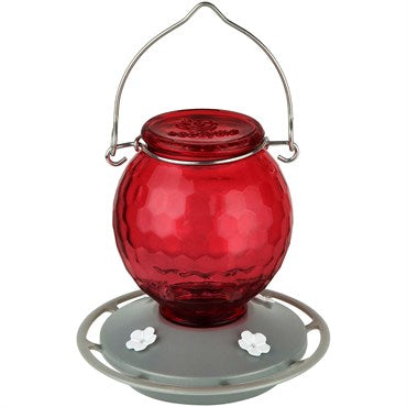 Crimson Comb Glass Hummingbird Feeder - Red - 16 oz - #32687