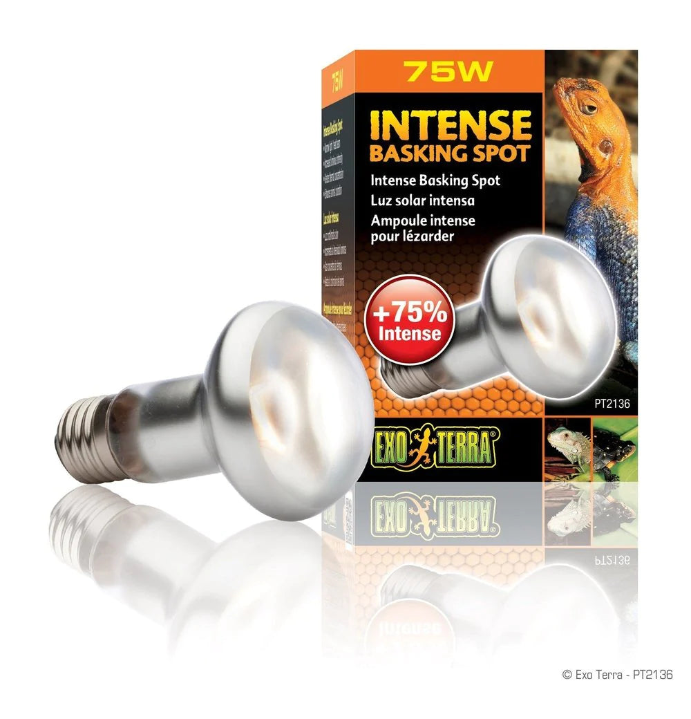 Lamp Intense Basking Spot - Exo Terra - 75 watt - #31079