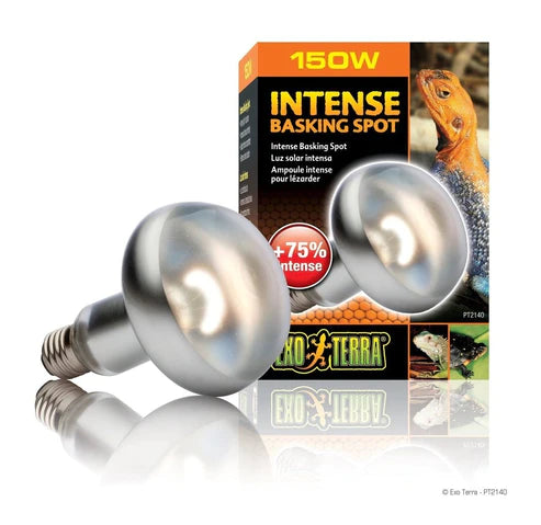 Lamp Intense Basking Spot - Exo Terra - 150 watt - #31081