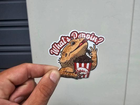 What's Poppin Sticker - Die-Cut - #31419