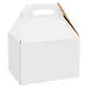 Kraft Gable Box White - 9"x6"x6" - #