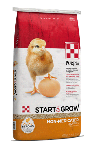 Chick Feed Start & Grow Non-Medicated - 25 Lbs - #10876