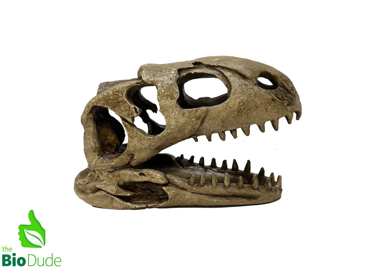 Dino Decor - The Bio Dude