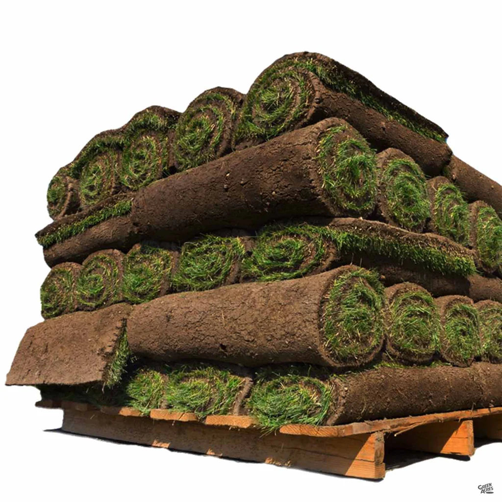 Tifway 419 Sod - By the Square Foot