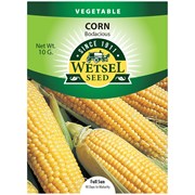 Seeds Corn Bodacious - 10 G