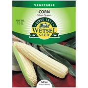 Seeds Corn Silver Queen - 10 G
