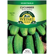 Seeds Cucumber Boston Pickling - 3 Grams