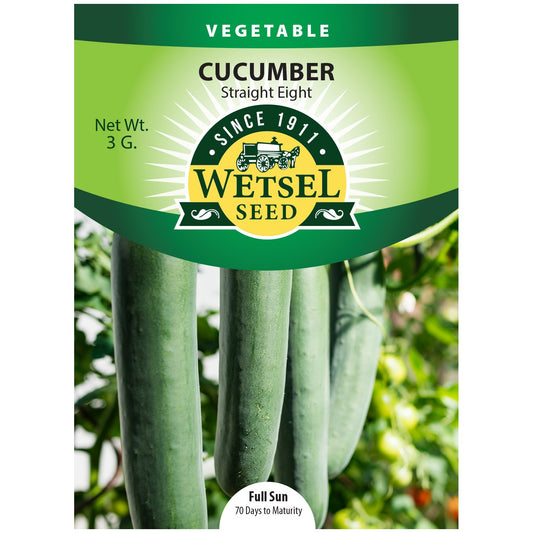 Seeds Cucumber Straight 8 - 3 Grams - #29580