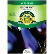 Seeds Eggplant Black Beauty - 400 Mg