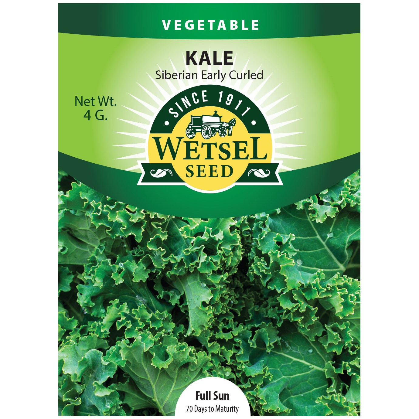 Seeds Kale Early Curled Siberia - 4 Grams - #29211