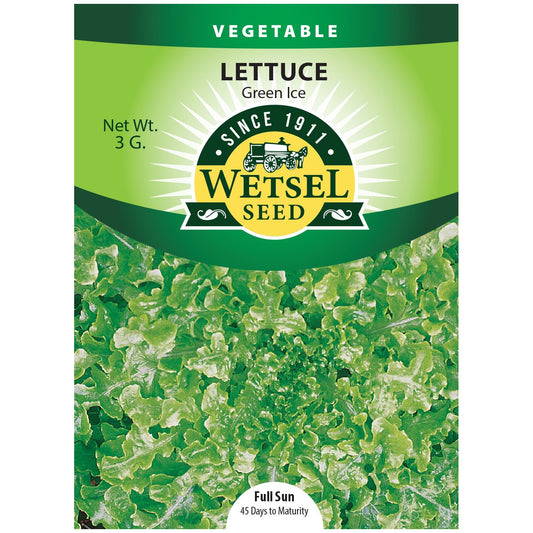 Seeds Lettuce Green Ice - 3 G - #32013