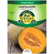 Seeds Muskmelon Hale's Best Jumbo Cantaloupe - 2 Grams