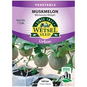 Seeds Cantaloupe Minnesota Midget - 1 Gram