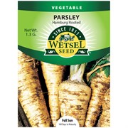 Seeds Parsley Hamburg Rooted - 1.3 Grams