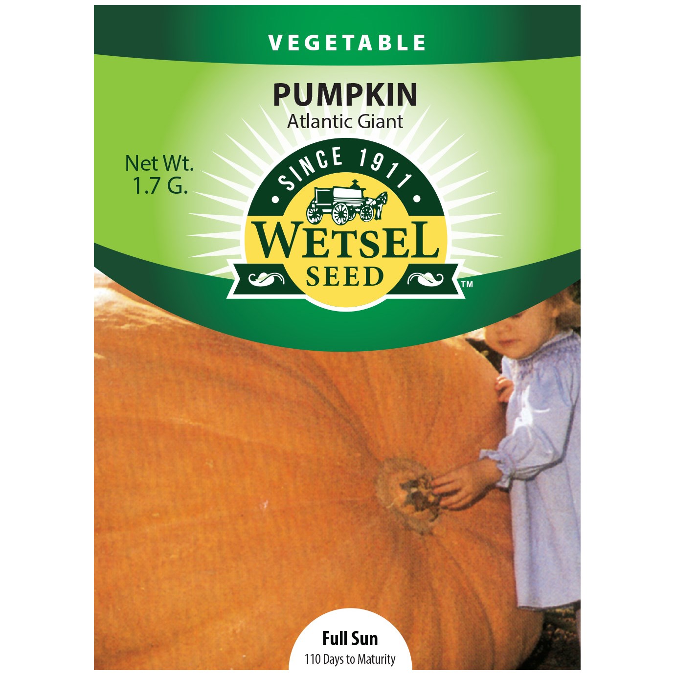 Seeds Pumpkin Atlantic Giant - 1.7 Grams - #29245