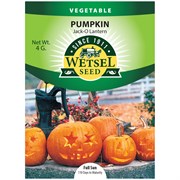 Seeds Pumpkin Jack-O Lantern - 4 Grams