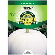 Seeds Pumpkin Lumina White - 1 G - #29575
