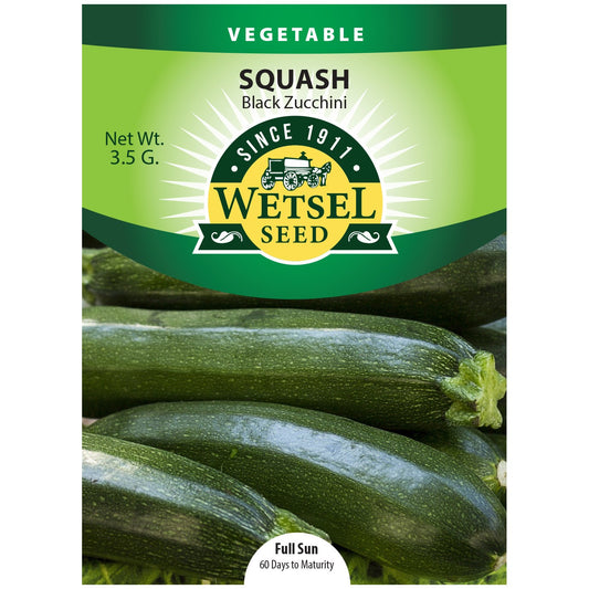 Seeds Squash Black Zucchini - 3.5 Grams - #29565
