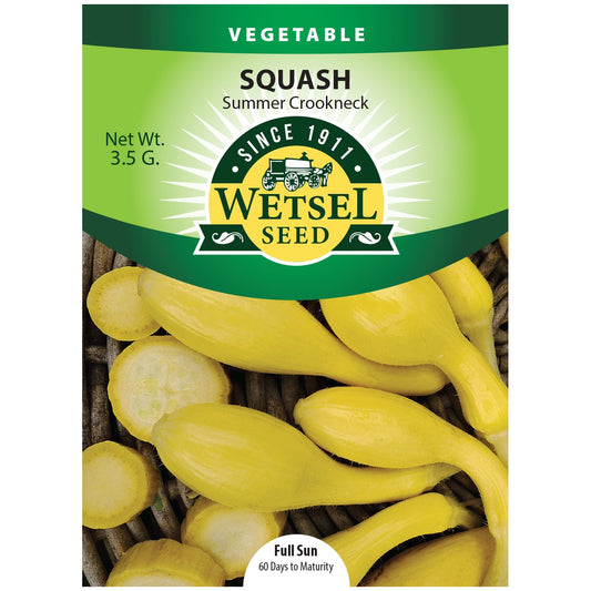 Seeds Squash Golden Summer Crookneck - 3.5 Grams - #29542