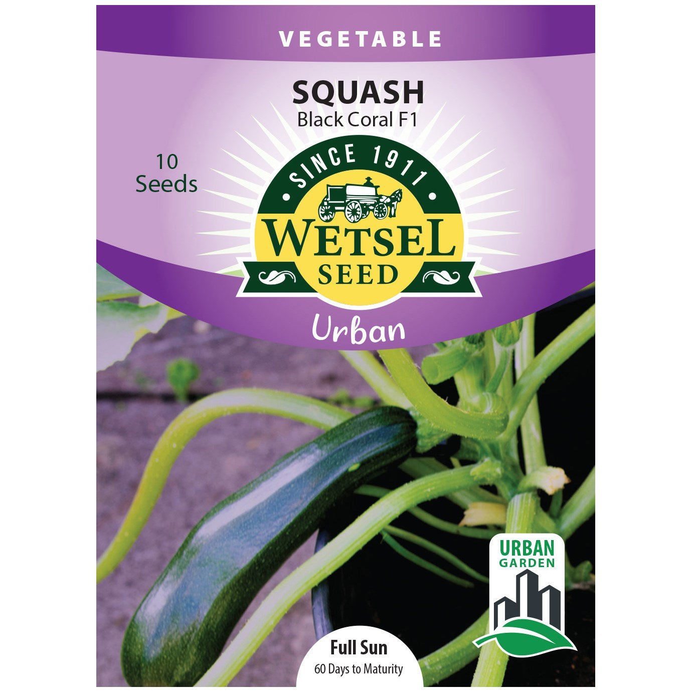 Seeds Squash Black Coral F1 Wetsel - 10 Seeds - #32012