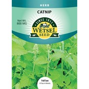 Seeds Catnip - 800 Mg