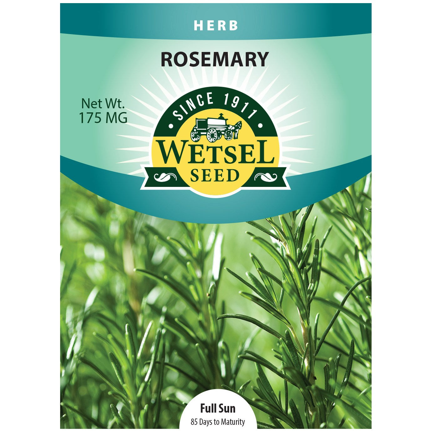 Seeds Rosemary Wetsel - 175 Mg - #29926